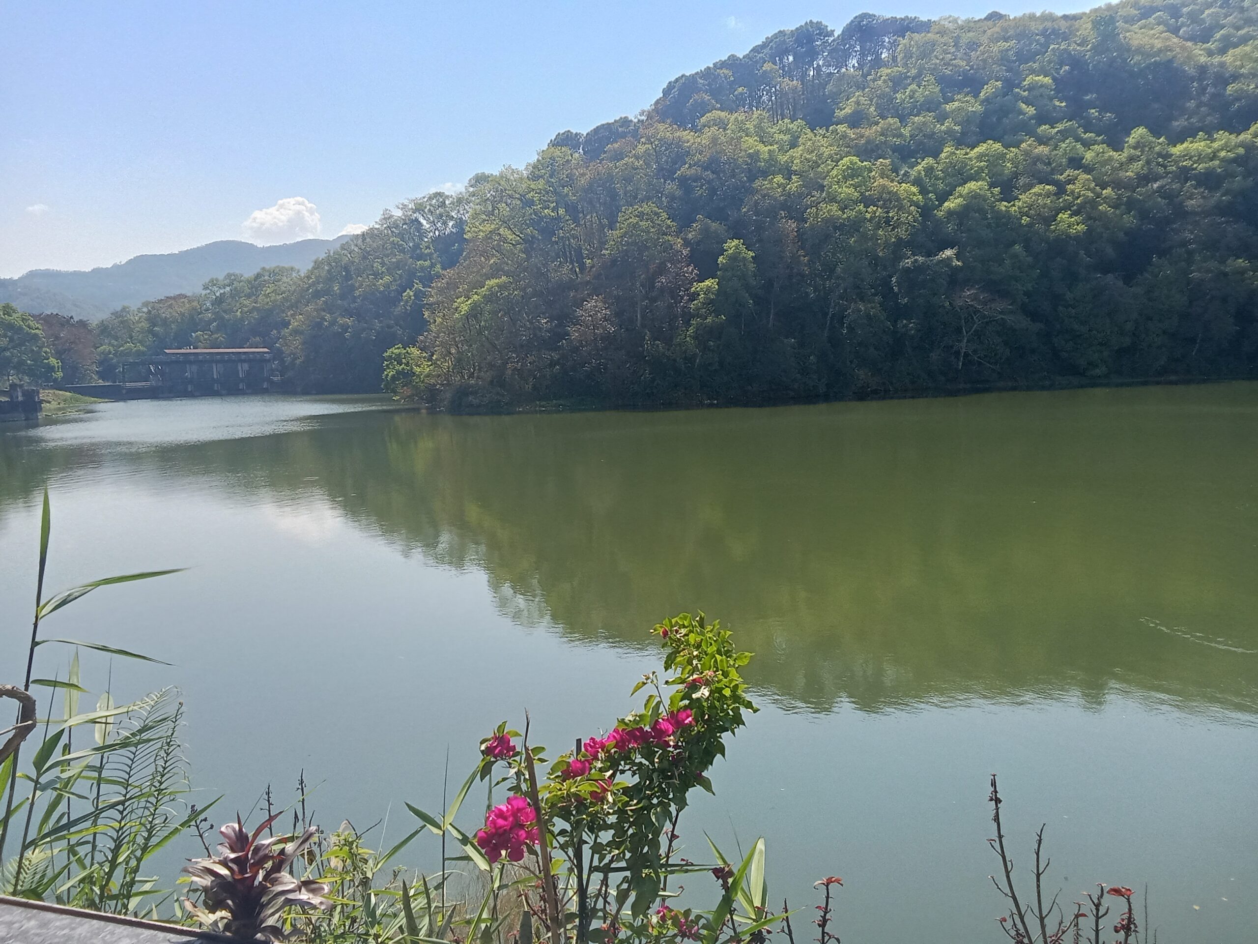 Welcome to my horizon!